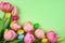 The first flowers of spring are the tulips, colorful, magical and freshly decorated with Easter eggs.