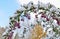 First fluffy snow on green leaves and red berries of barberry twigs