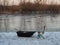 The first frost and the first winter fishing for pike. Stool and fishing gear in a fisherman`s sled. Winter fishing