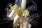 First Holy Communion candle