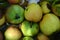 The first juicy small green apples with red, yellow, dark spots float in clear water.