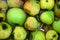 The first juicy small green apples with red, yellow, dark spots float in clear water.