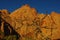 First morning light on dry tree and rocks near Moqui Hill, Utah