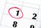 The first number in the calendar is circled in red in macro. Calendar for plans, notes, meetings. Business calendar