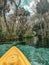 First-person POV yellow kayak paddling in blue spring waters, Silver Springs State Park, Florida