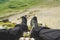 A first-person view POV of a man sits on the edge of a high cliff and enjoys the scenery. Wide angle human foot trekking