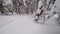 First person view of a snowboarder riding in the forest