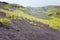 First plants on volcano gentle slope