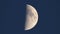 First Quarter Moon