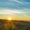 The first rays of the rising sun in a field on the outskirts of the city