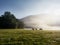 The first rays of the sun illuminate a foggy clearing with grazing horses. Russia. Caucasian nature reserve