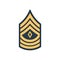 First sergeant 1SG soldier military rank insignia
