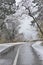 The first snow. Abandoned road