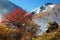 First snow in autumn mountains