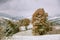 First snow in autumn. Snowfall in mountains