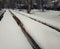 First snow on a bench in the yard