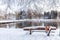 First snow in the city park with ducks on an icy pond and a bench covered with snow