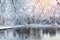 First snow in the city park with ducks on an icy pond and a bench covered with snow. Sunny day in the winter city park.