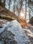 First snow in the forest winter in tirol