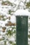 The first snow lies on the garden water column with a tap. Snowfall and high precipitation in winter, the beginning of the heating