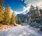 First snow in Naturpark Fanes-Sennes-Prags