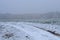 First snow in november on sunflower field