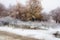 First snow, puddle / geese / nature of the Far East of Russia