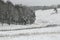 First snow - An untouched winter landscape with trees. grasses and meadows in Thuringia