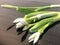 first snowdrops on the wooden table. Macro