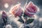 First spring flowers. Blooming Rose flowers covered snow with blurry bokeh and sparkling detail. Ai generated art