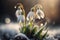 First spring flowers. Snowdrops flowers covered snow with blurry bokeh and sparkling detail. Ai generated art