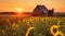 The First Sunlight Illuminates a Sunflower Field and Old Mill. Generative AI