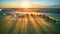 First sunrays over green meadow and field. Sunny summer calm morning panorama