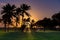 The first sunrays between Palm trees at Miami Beach