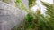 First view person walking at street under palms trees on Fuvahmulah island. Vertical footage