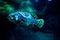 Fish aquarium. dangerous fish swiming in aquarium in oceanarium. Colorful aquarium tank filled with stones, seaweed