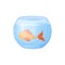 A fish in an aquarium. A goldfish swims in a round aquarium. Fish in the water. Vector illustration isolated on a white