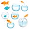 Fish And Aquariums. Vector