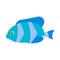 Fish aquatic vector icon sea wildlife symbol. Colorful illustration water ocean exotic fauna flat animal side view
