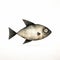 Fish Art By Jon Klassen: A Full-body Perspective On A White Background