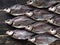 Fish background.A lot of air-dried, salty freshwater bream on a dark wooden table.River fish