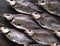 Fish background.A lot of air-dried, salty freshwater bream on a dark wooden table.River fish
