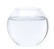 Fish bowl with water in front of white background