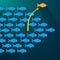 Fish break free from shoal. Entrepreneur concept