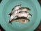 Fish - bream, perch, vimba and roach in mint green bowl