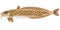 Fish burbot on white background is insulated