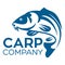 Fish carp logo. Vector illustration.