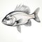 Fish Cartoon Vector Illustration: Detailed Cross-hatching In Heather Theurer Style