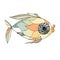 Fish. Cartoons hand drawn colorful stock vector illustration