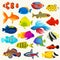 Fish Colorful Set. Vector Illustration